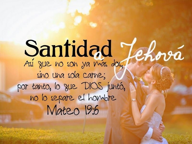 2af3a7b7921e7ccbd14c05cd5b3b0d3a