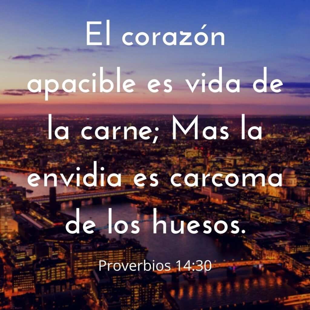 5e8bc463dcd2641d969a95abafa7f0f3